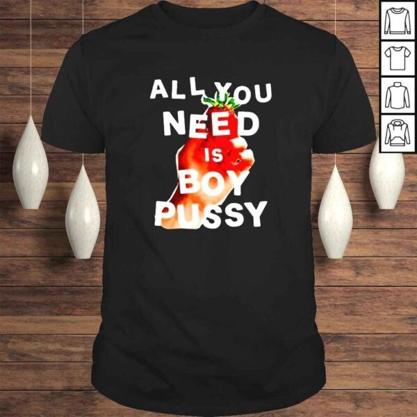 All you need is boy pussy shirt