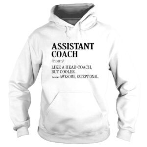 Hoodie Assistant coach noun like a head coach but cooler shirt