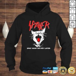 Hoodie Cat Spayer Spay Now Or Pay Later shirt