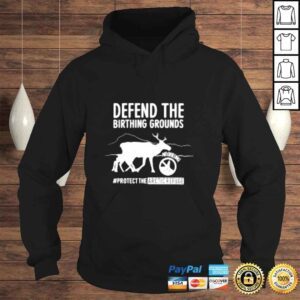 Hoodie Defend the birthing grounds protect the arcticrefuge shirt