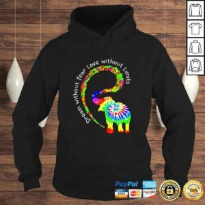 Hoodie Dream Without Fear Love Without Limits Elephant LGBT Pride TieDye shirt