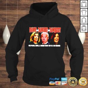 Hoodie Dumb and Dumber and Dumbest for Pelosi Biden Harris every day is a no brainer shirt