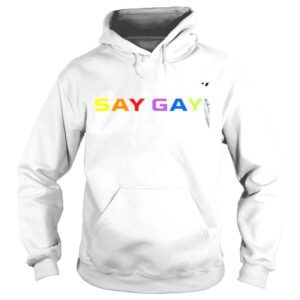 Hoodie LGBT Pride Say Gay shirt