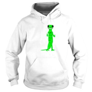 Hoodie Lizard do you believe in life after love shirt