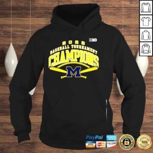 Hoodie Michigan Wolverines 2022 Big 10 Baseball Champions Shirt