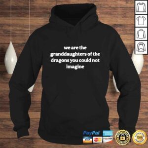 Hoodie We are the granddaughters of the dragons you could not imagine shirt