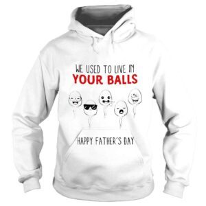 Hoodie We used to live in your balls happy fathers day shirt