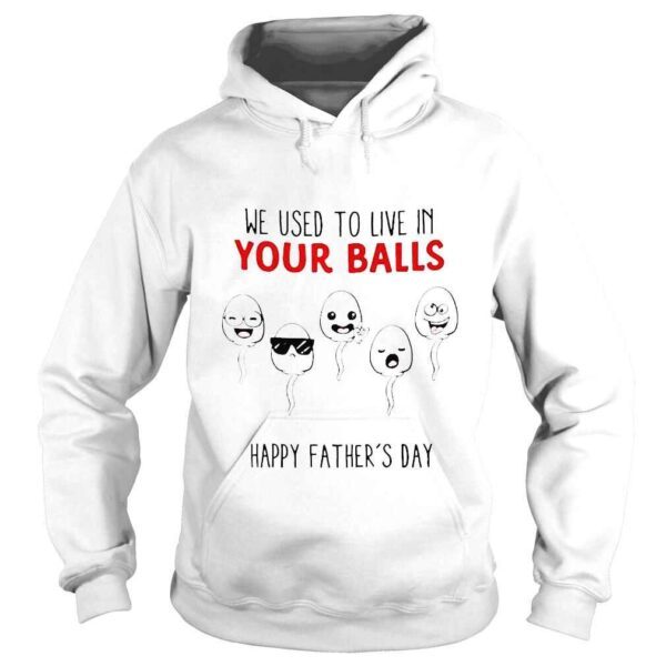 We used to live in your balls happy fathers day shirt - Image 4