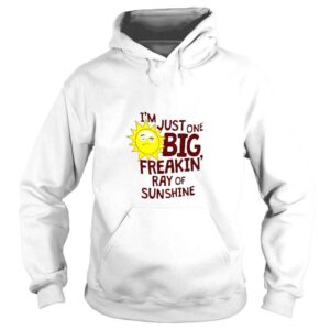 Hoodie im just one big freakin ray of sunshine shirt