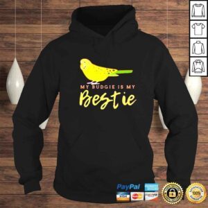 Hoodie my budgie is my Bestie macaw shirt