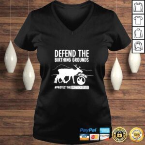 VLadies Defend the birthing grounds protect the arcticrefuge shirt