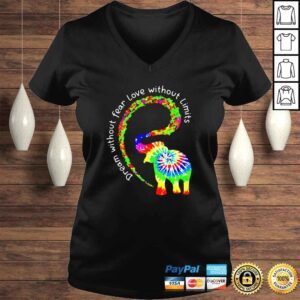 VLadies Dream Without Fear Love Without Limits Elephant LGBT Pride TieDye shirt