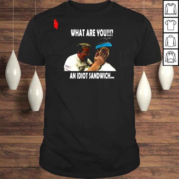 What are you an idiot sandwich shirt