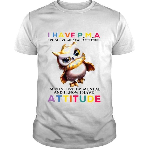 owl I have PMA and I know Im mental and I know I have attitude s Hoddie