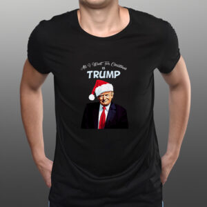 ALL I WANT FOR CHRISTMAS IS TRUMP SHIRT TEEs