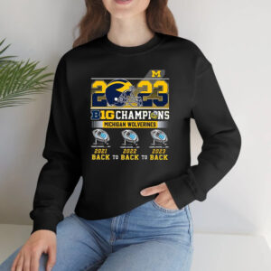 Michigan Football Back To Back To Back 2023 Big Ten Champions T-Shirtt