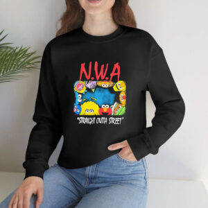 NWA Straight Outta Streets Muppets Characters T-Shirt4