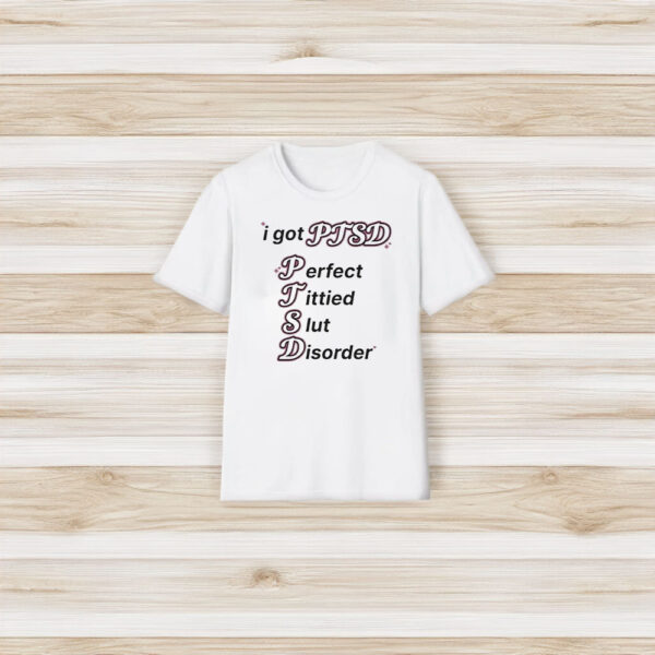 I Got Ptsd Perfect Tittied Slut Disorder T-Shirt