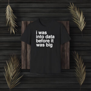 I Was Into Data Before It Was Big T-Shirt