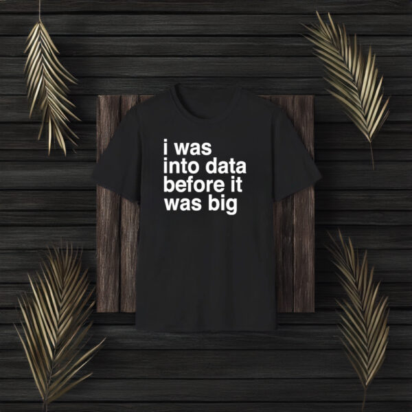 I Was Into Data Before It Was Big T-Shirt