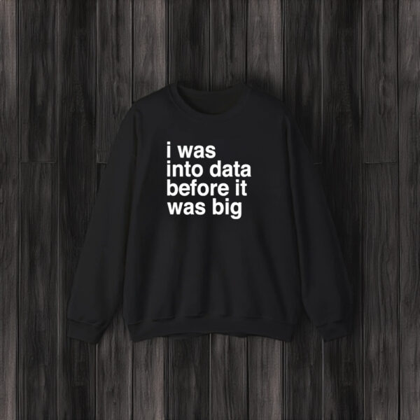 I Was Into Data Before It Was Big T-Shirt3