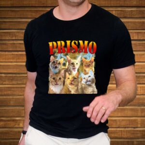 Oneorangebraincell Prismo Cats T-Shirt3