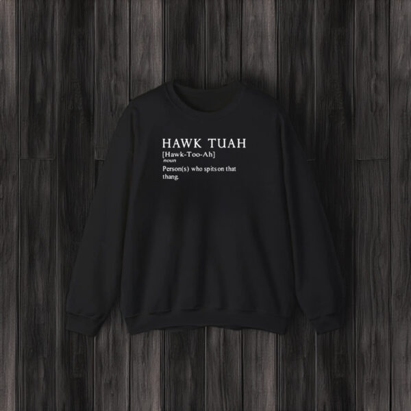 Themaskbitch Hawk Tuah Noun Persons Who Spits On That Thang T-Shirt