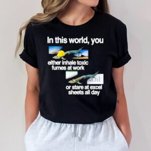 In This World You Either Inhale Toxic Fumes At Work Or Stare At Excel Sheets All Day T-Shirt1